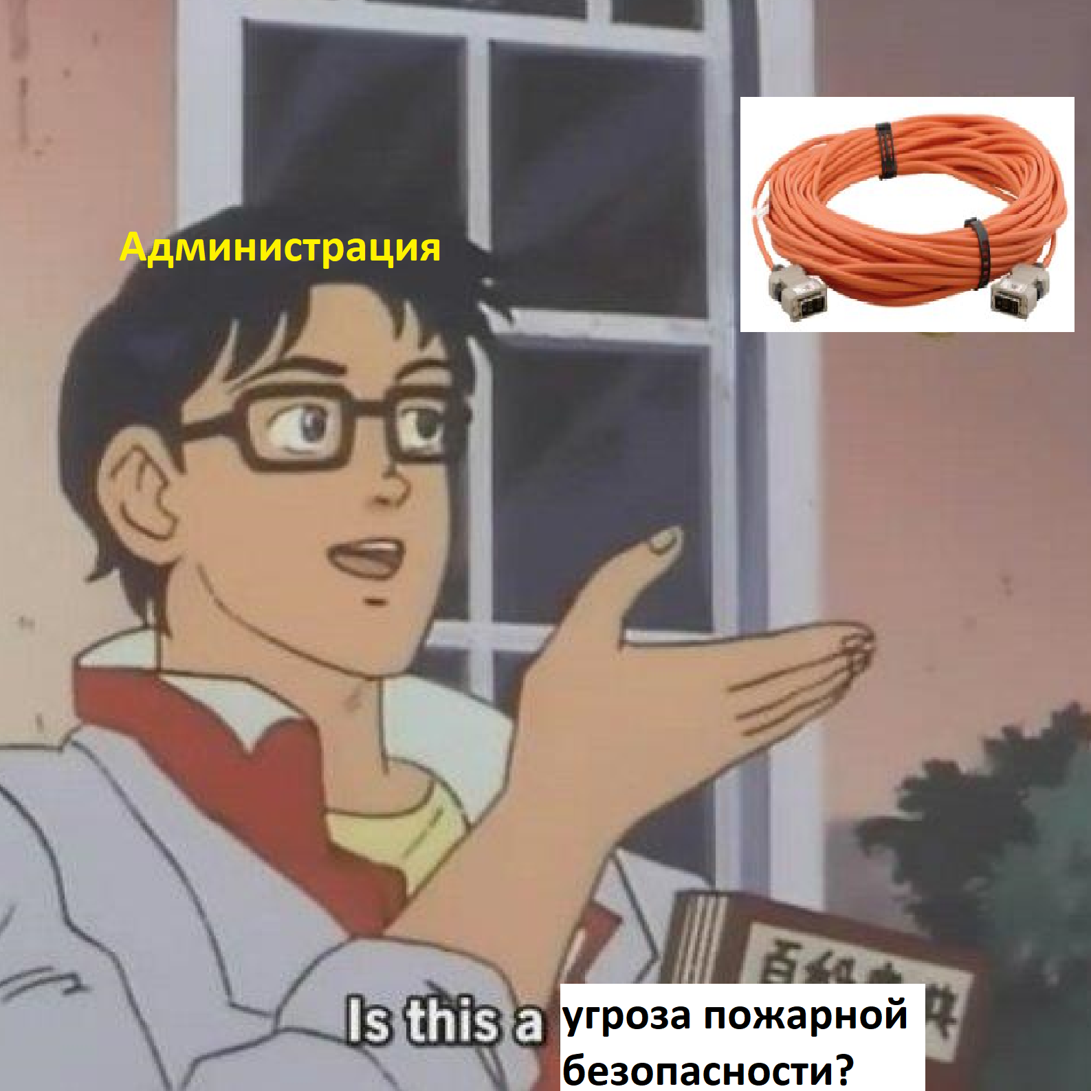 Немного маразма из студенческого общежития - Моё, Маразм, Общежитие, Длиннопост