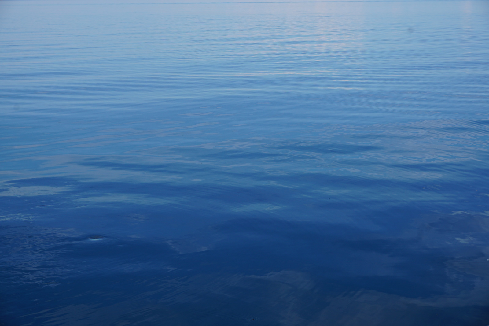 Lake Baikal - My, Baikal, Nature, Lake, Vacation, Camping, Seal, Longpost