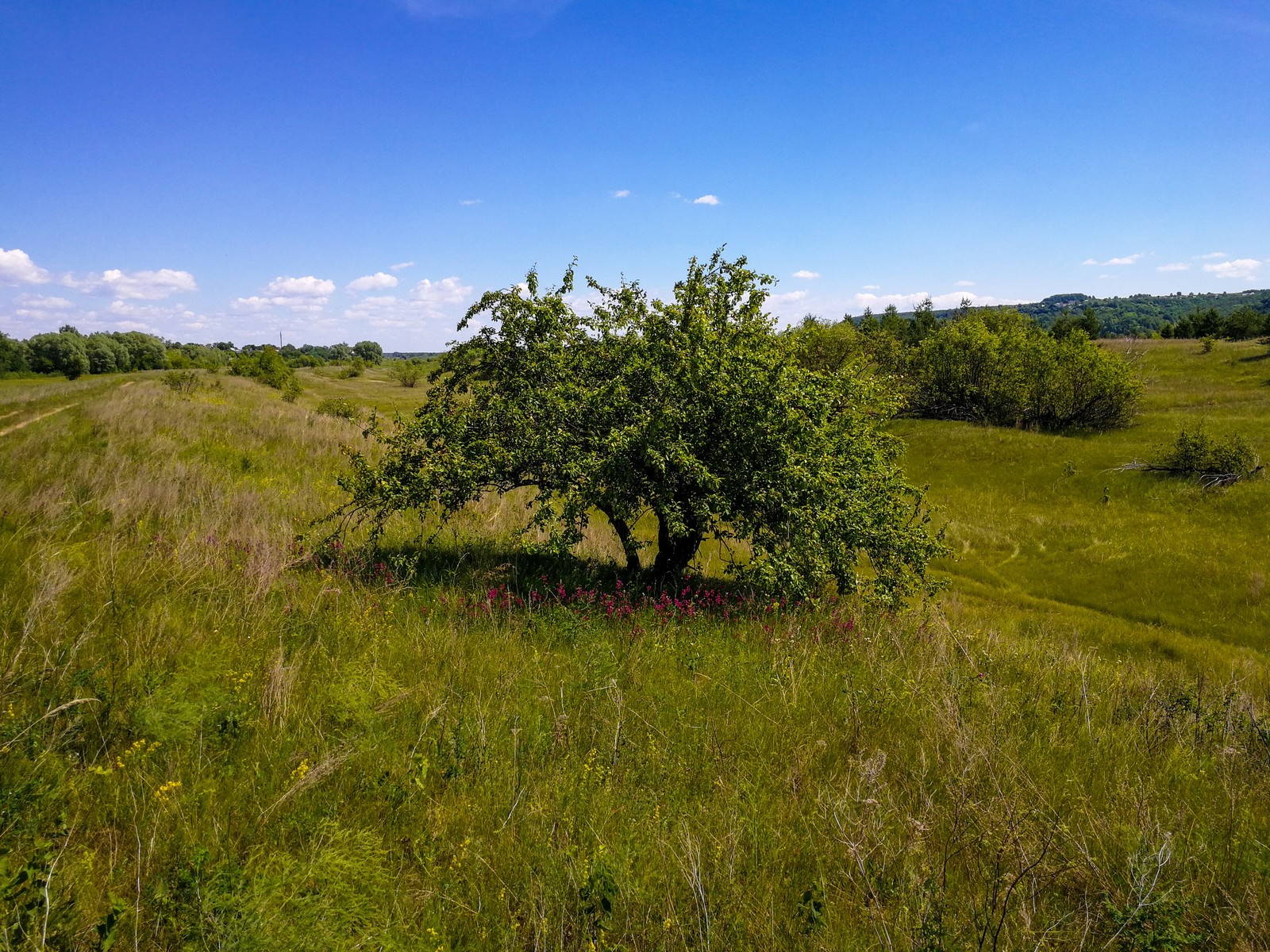 Photo bike ride - My, Longpost, Dzerzhinsk, The photo, Nature, Huawei mate 9, Canon 1300d