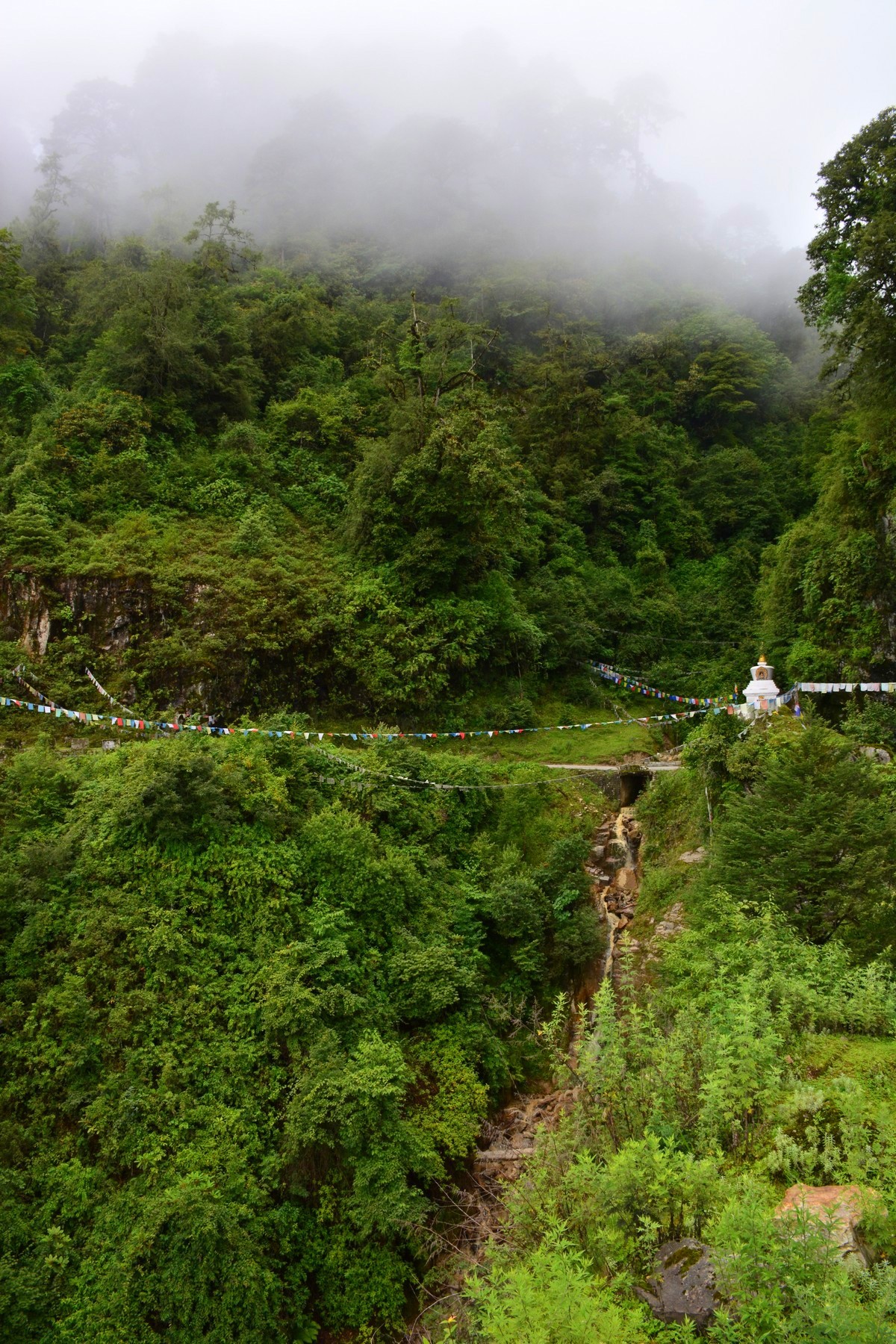 Mysterious Kingdom of Bhutan. Punakha - NSFW, My, Travels, Tourism, The photo, Bhutan, Bhutan, Longpost