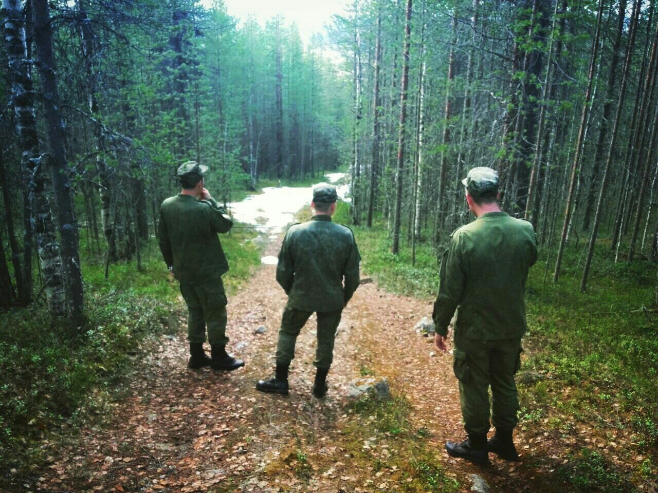 Forests of the Far North - My, beauty of nature, The photo, Nature, Longpost