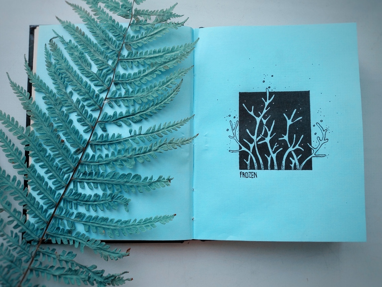 Minimalistic drawings of plants - My, Drawing, Art, Plants, Minimalism, Notebook, Fern, Longpost