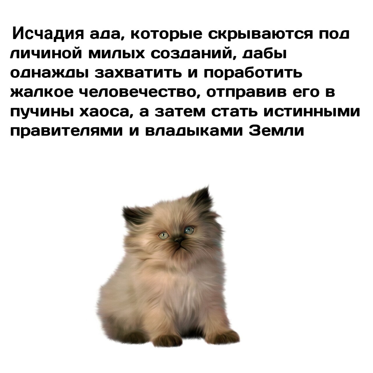 Исчадие ада читать. Исчадие ада это простыми словами. Милое исчадие ада. Сингулярность котика.