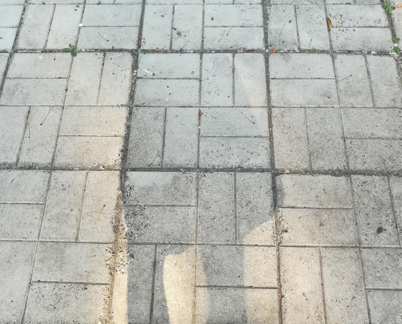 It seemed! - It seemed, Swastika, Paving slabs