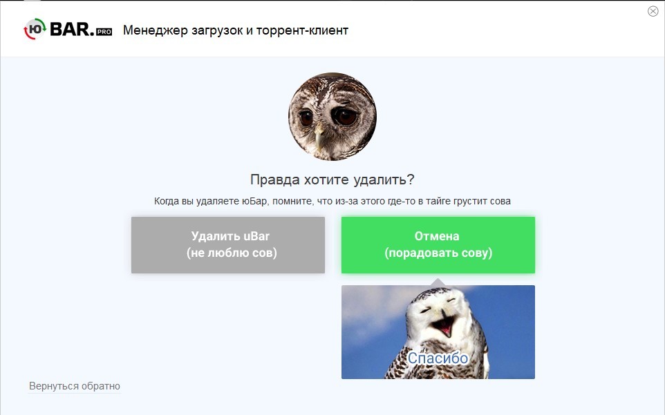 Pity is pressed - My, Owl, Program, Удаление, Cunning, Humor