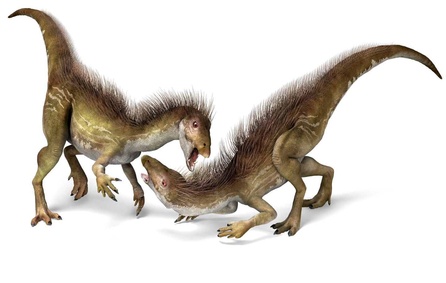 Abriktosaurus - herbivorous dinosaur - Dinosaurs, 