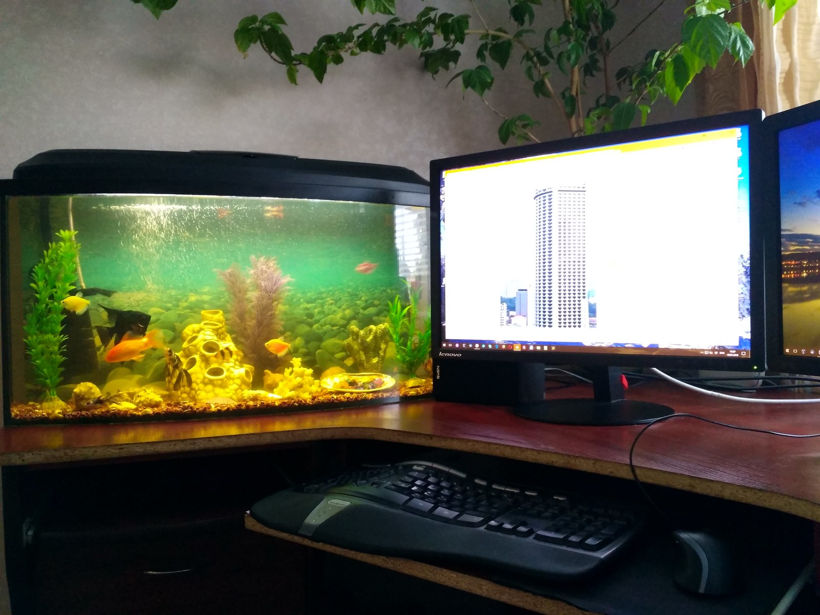 Компьютерный стол с аквариумом