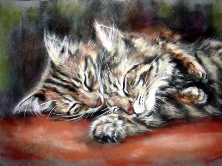 Adorable cats by English artist Paul Knight - cat, Painting, Fluffy, Milota, Longpost