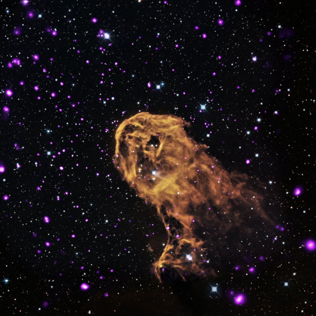 The best shots from the Chandra telescope. - The science, Space, , Supernova, Longpost