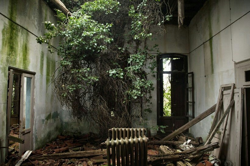 Poveglia - an ominous island of plague - Poveglia, Venice, Plague, Crazy house, Longpost