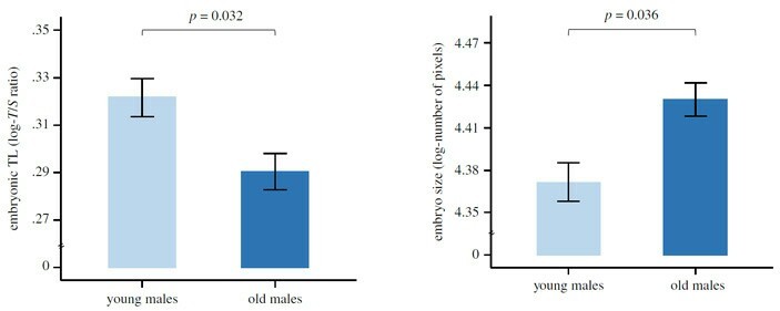 Old finches chicks are born with short telomeres, develop quickly, die early - Birds, Telomeres, Biology, Longpost