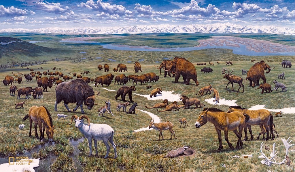 Pleistocene park - Pleistocene, Buffalo, Pleistocene park, Longpost