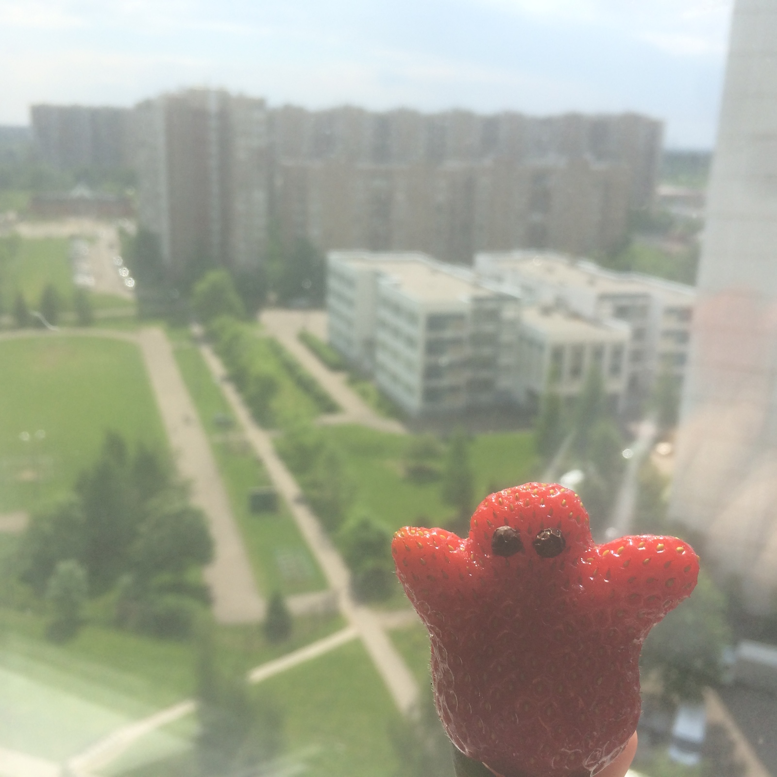 Food art good_morning! - My, Foodphoto, Strawberry, Good morning, Zelenograd, Food, The photo, Good quality, Summer, Strawberry (plant)