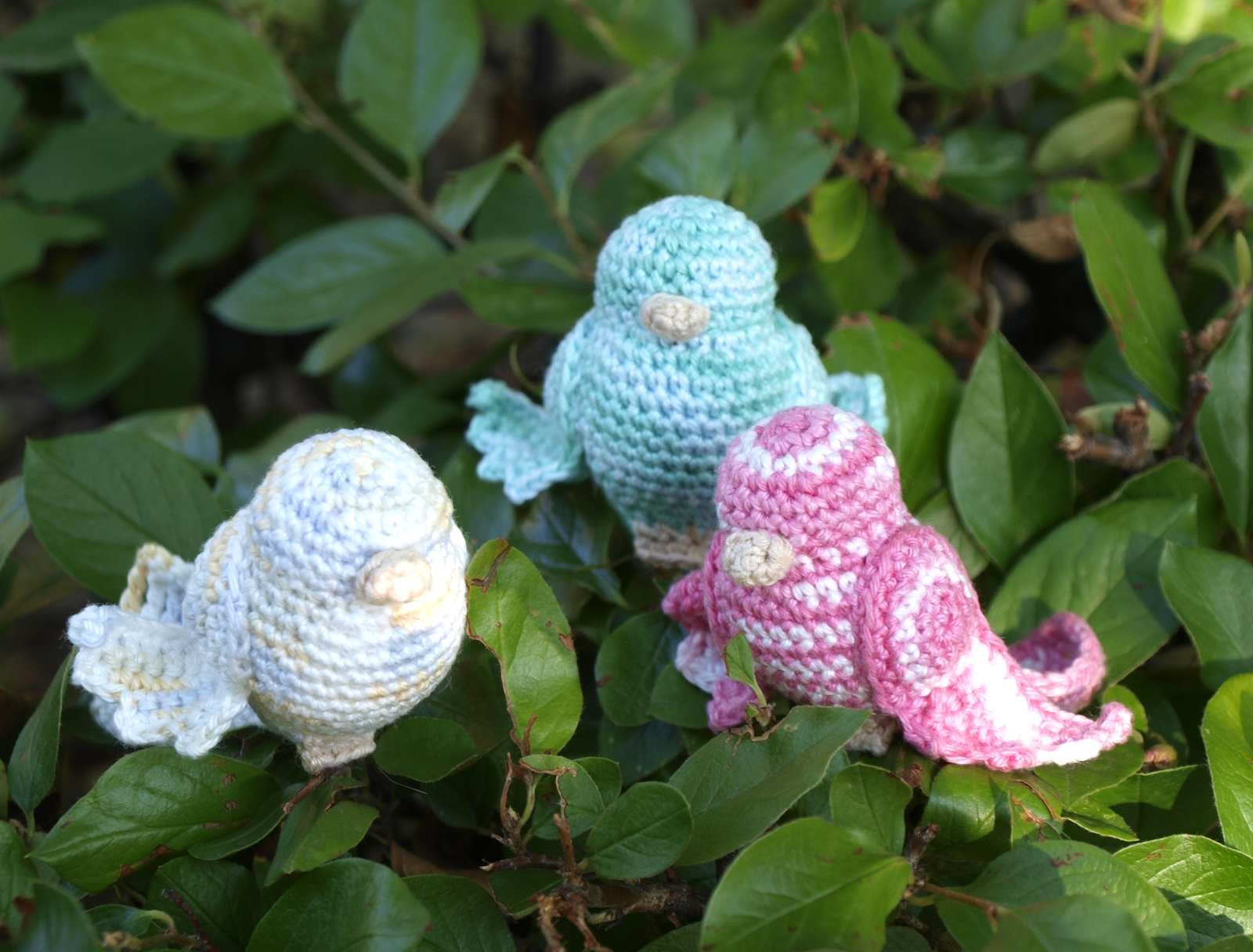 small birds - My, Crochet, Birds, With your own hands, Needlework without process, Longpost