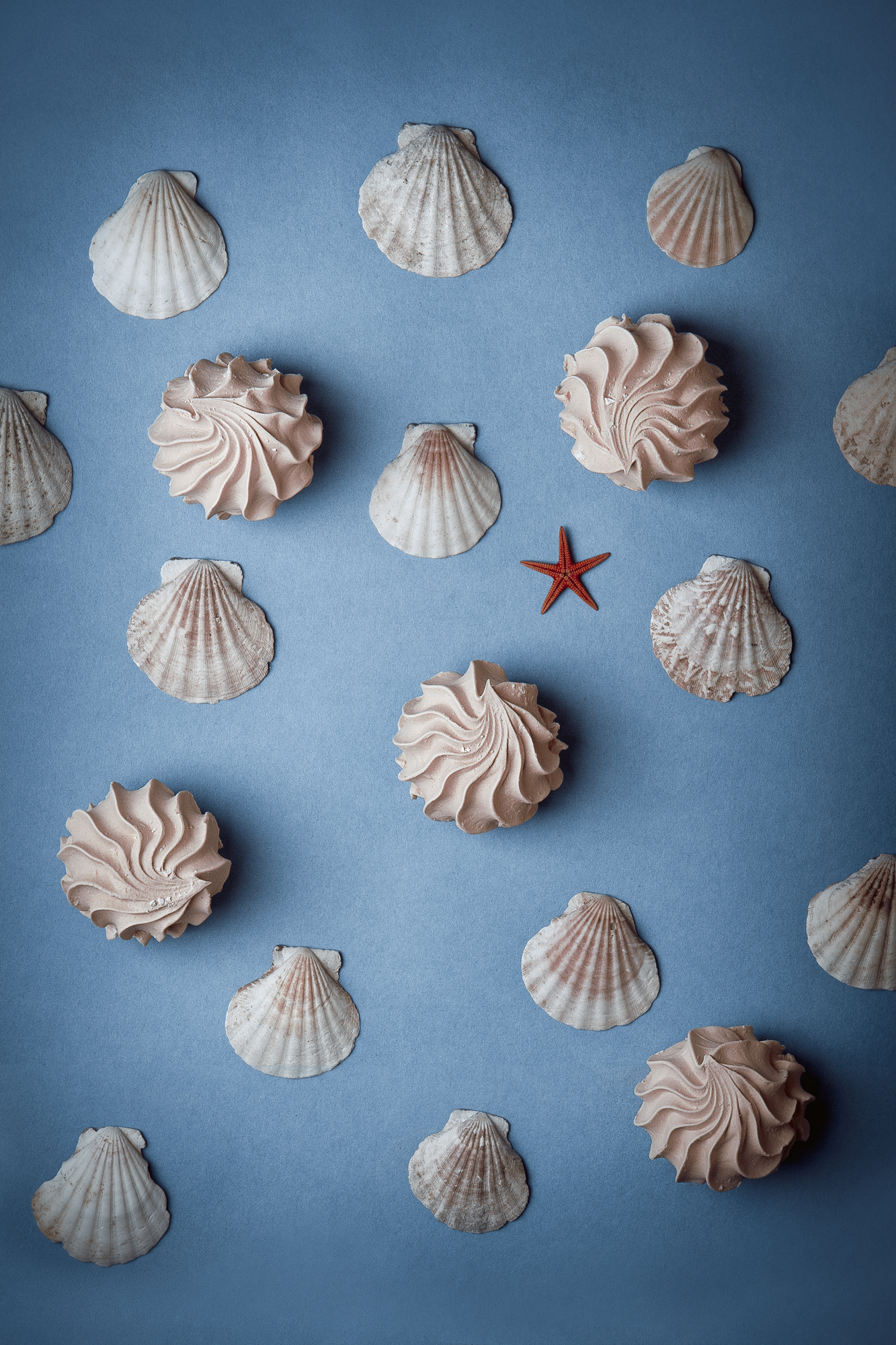 Marshmallow - My, The photo, Seashells, Marshmallow, Food, Fancy food, Creative, Canon, Longpost