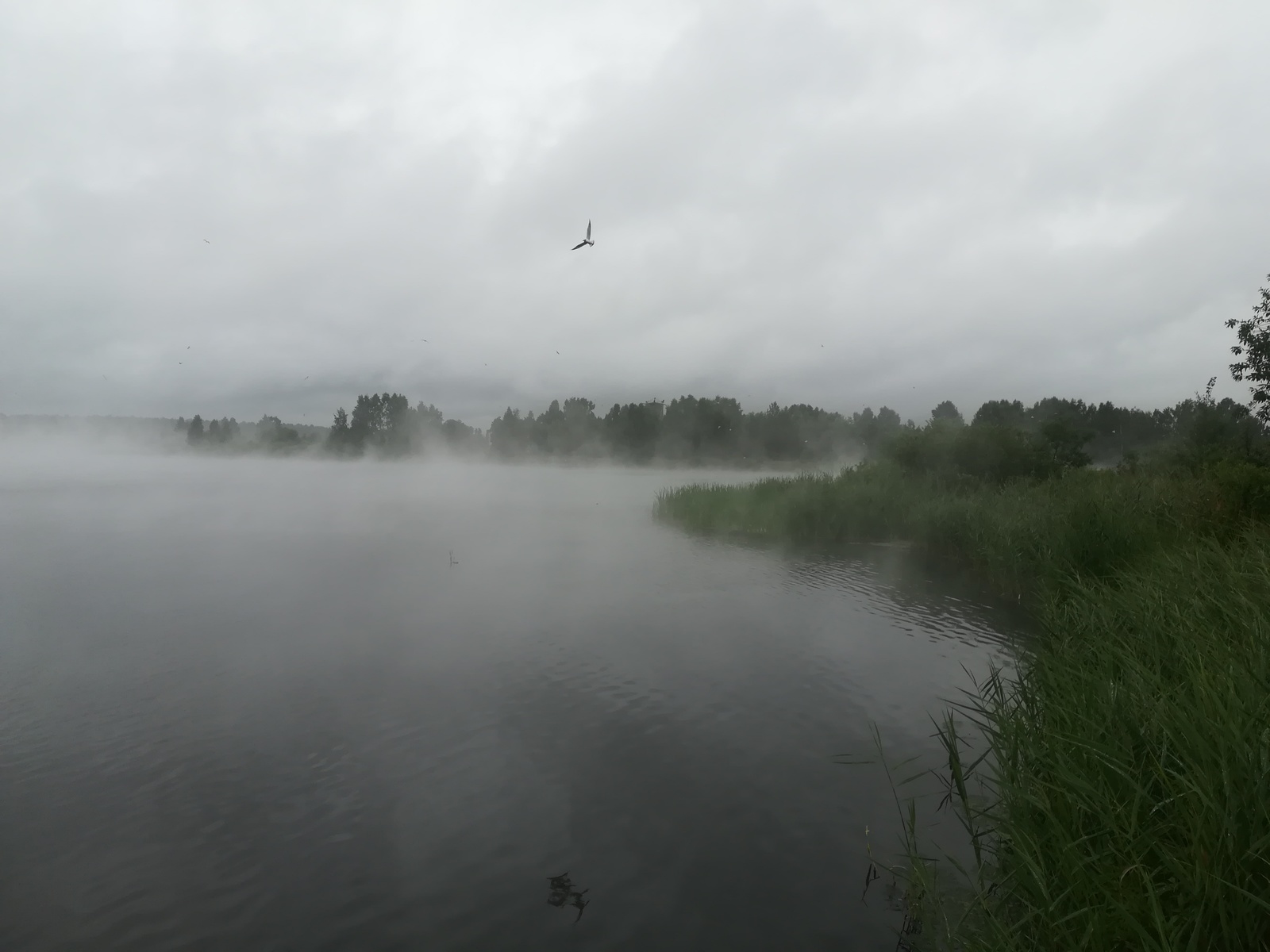 Reftinskoe reservoir - My, Nature, Reftinskiy, Steam