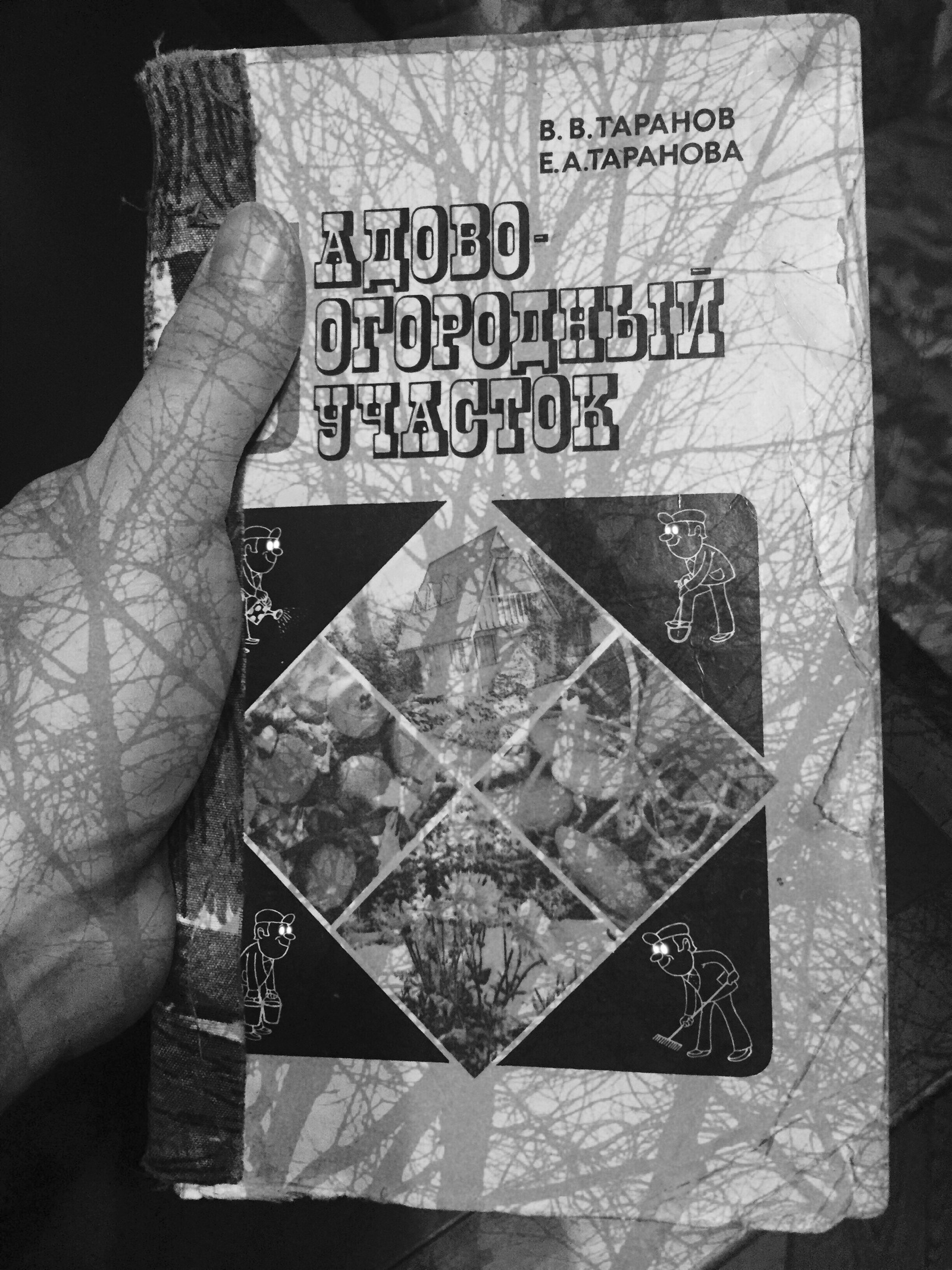 Адово-огородный участок - Моё, Ад, Дача, Сад, Огород, Участок, Фазенда, Книги, Все тлен