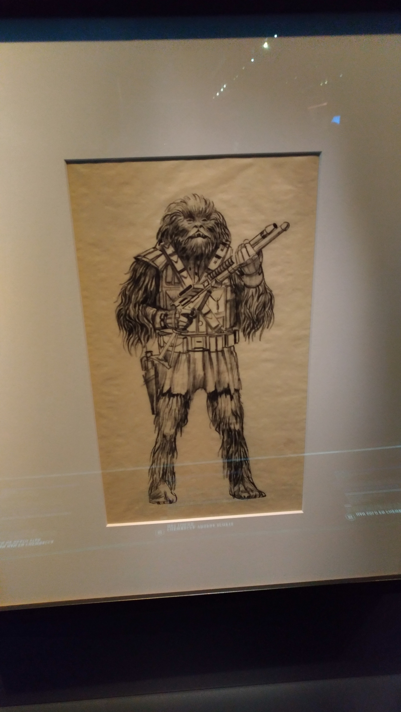 Star Wars - My, Star Wars, Exhibition, Costume, Longpost