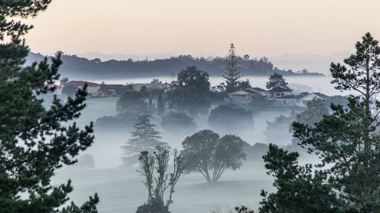 Morning - My, Fog, New Zealand, Morning