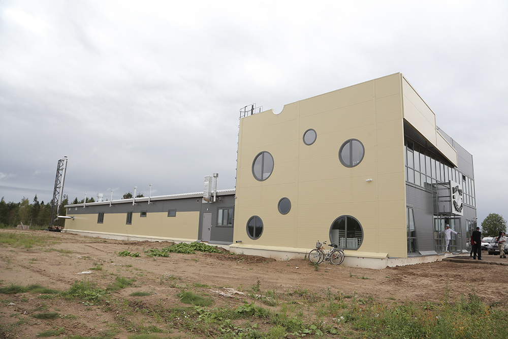 A cheese factory for the production of hard cheeses was opened in the Vologda region - Vologodskaya Oblast, Small business