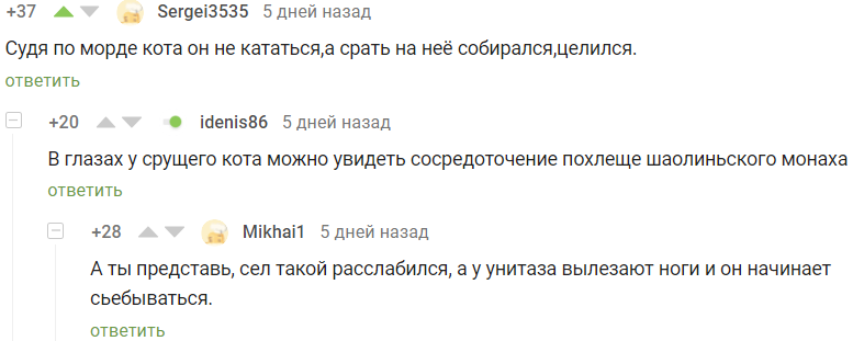 Очень, очень неудобный унитаз - Комментарии, Комментарии на Пикабу, Скриншот, Кот, Черепаха, Унитаз, Юмор, Гифка