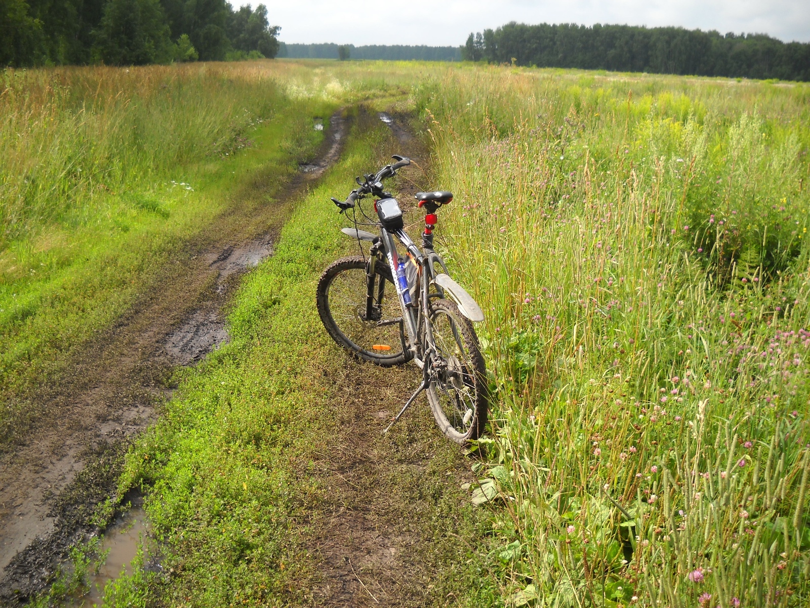 To Karpysak - My, A bike, Field, Hike