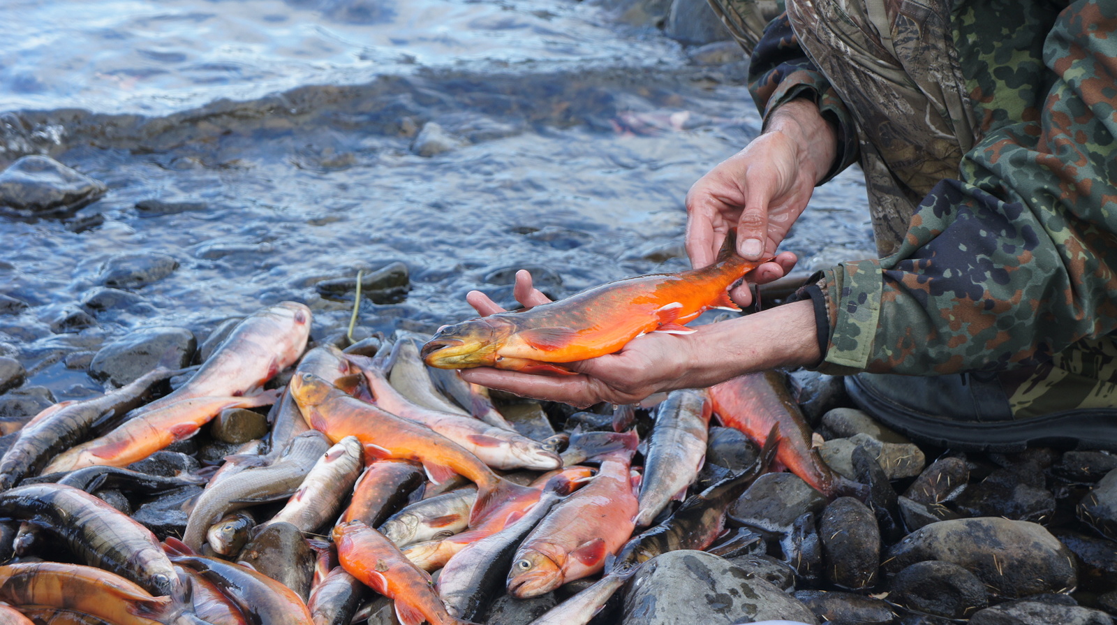 Fishing in Oymyakonya - My, Fishing, Oymyakon, Lake, Loach, Grayling, Track, Preserve, Longpost, Reserves and sanctuaries