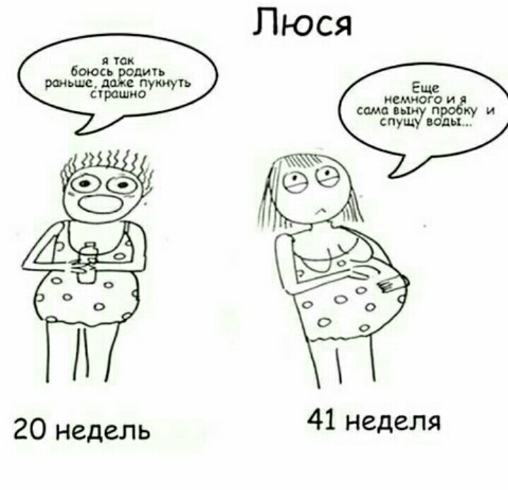 Pregnancy) - Pregnancy, Humor, 