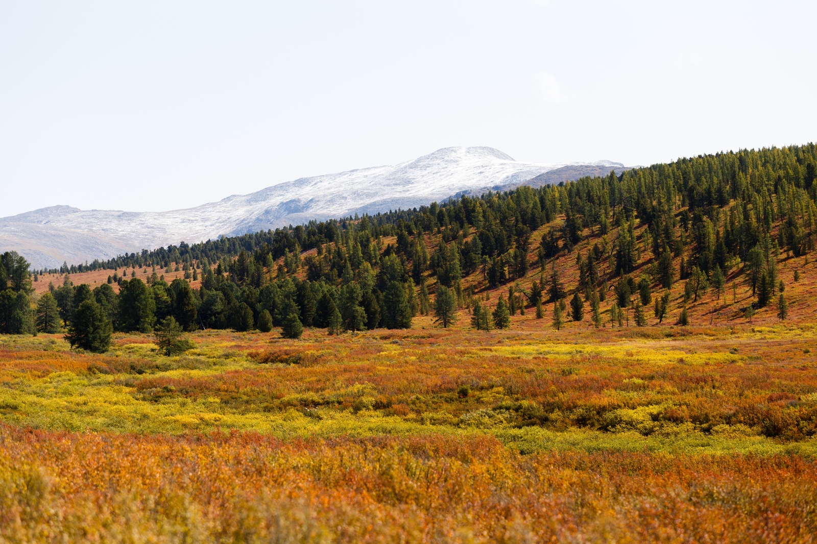 Autumn in the mountains - My, Landscape, Nature, The photo, Altai, The mountains, Mountain Altai, Autumn, Photographer, Longpost, Altai Republic