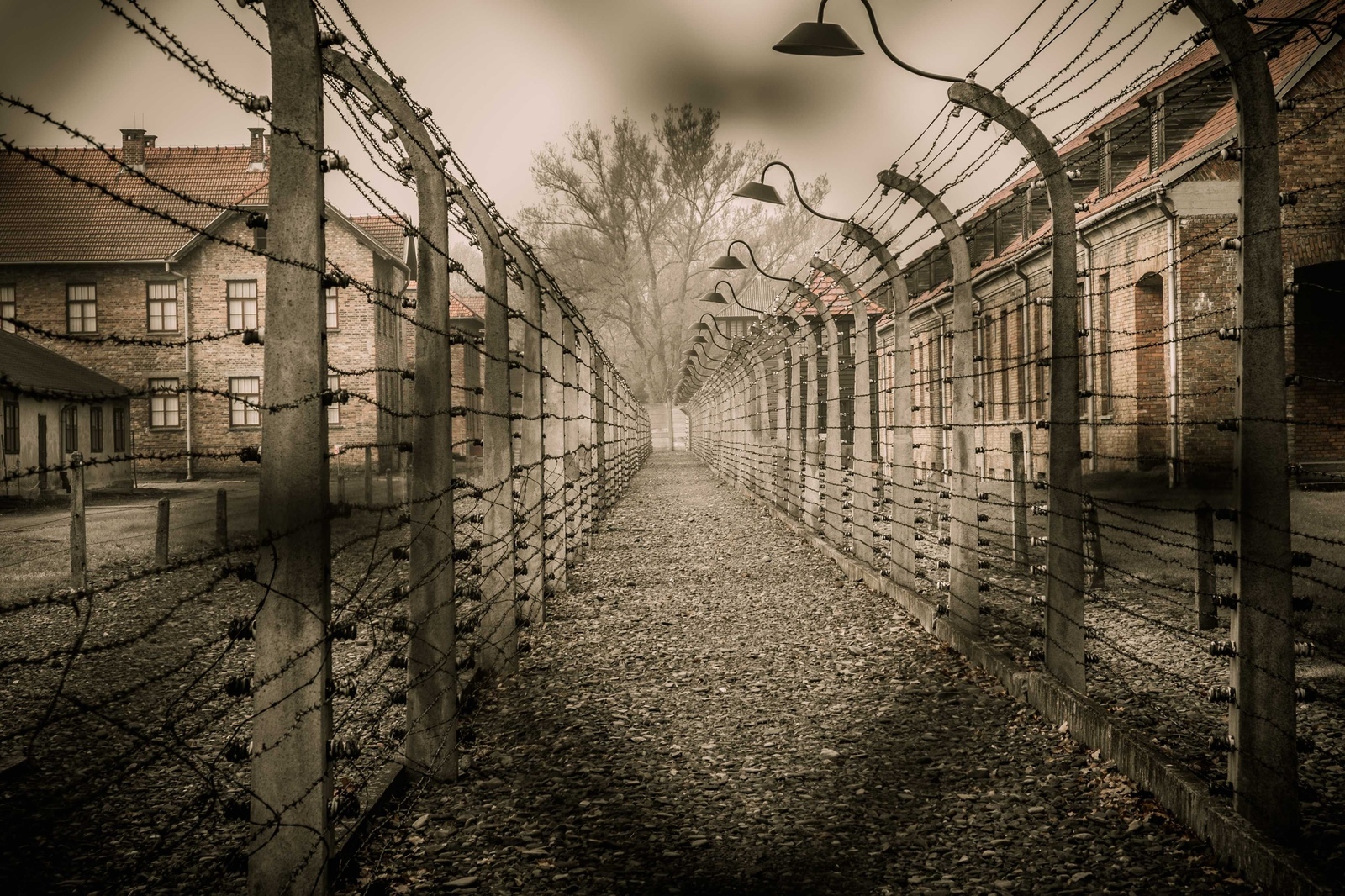 Camp psychology: human processing in death factories - Psychology, Prison, Auschwitz, Longpost, Negative