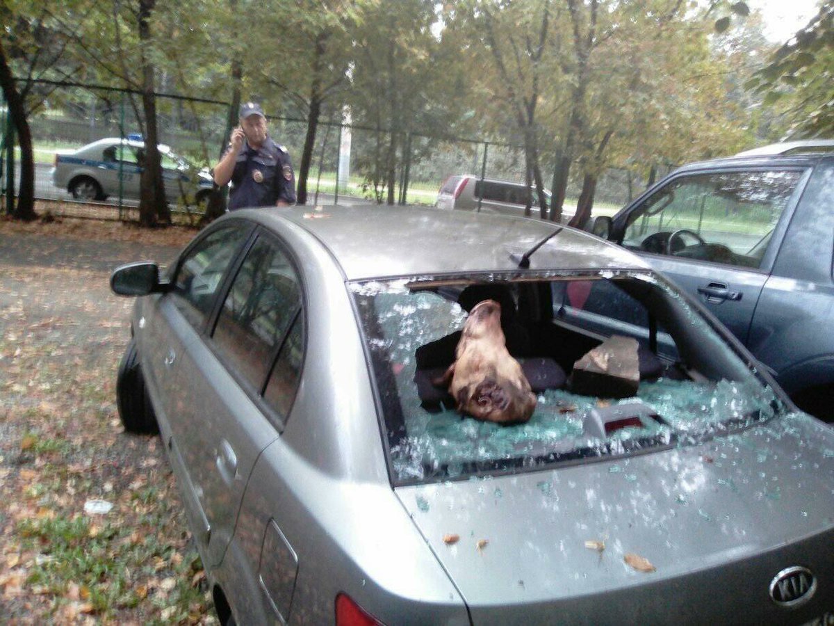 Vitaly Tretyukhin, a Moscow opposition deputy, had the glass broken in his car at night and the severed head of a pig was left in it. - Moscow, Pig, Deputies