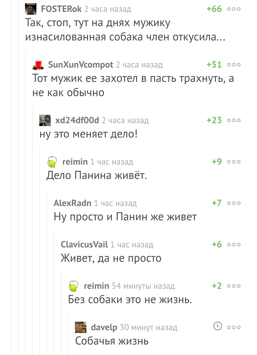 Dog life - Comments on Peekaboo, Alexey Panin, Dog