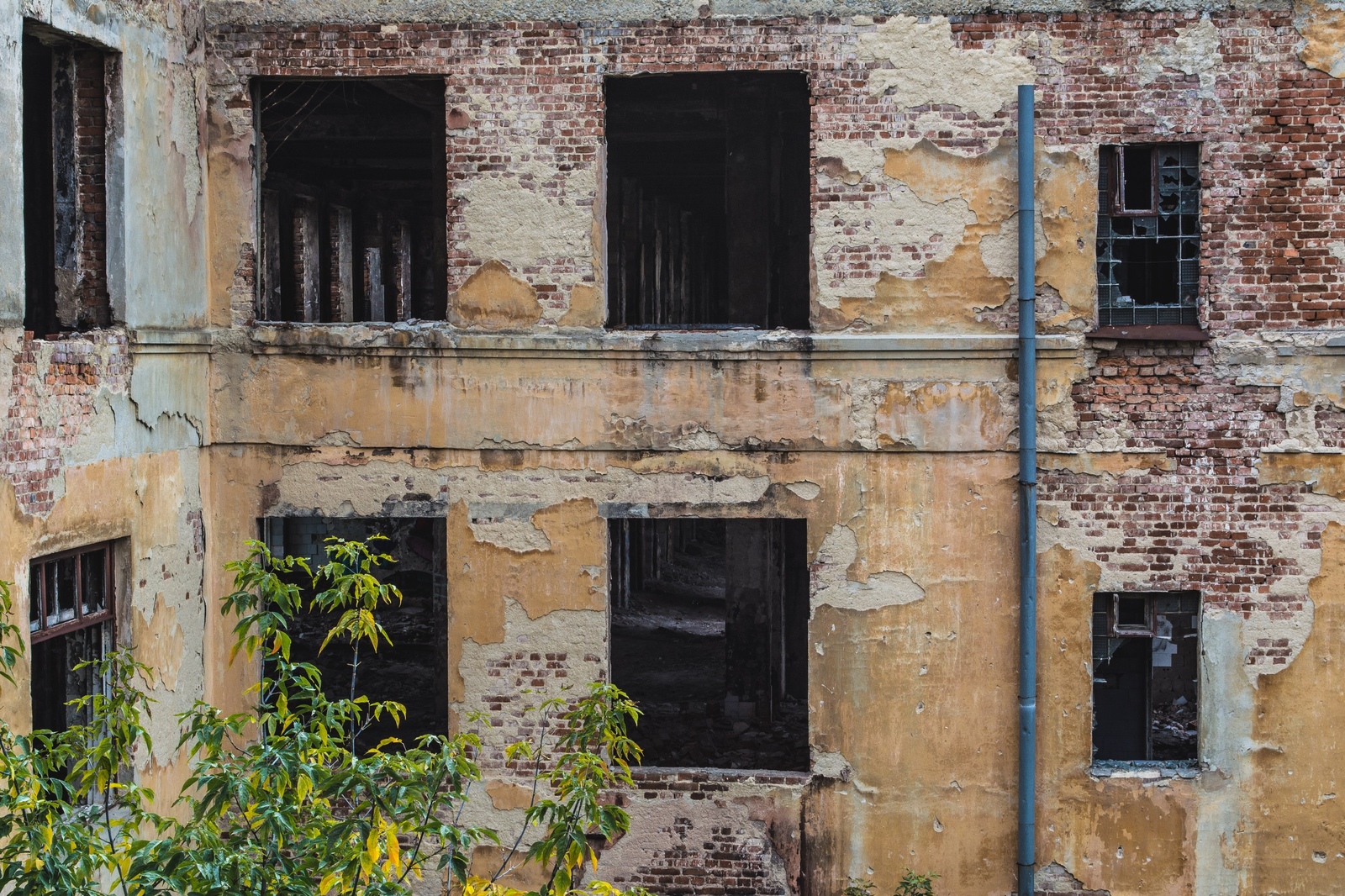 Dead hospital. - My, The photo, Architecture, Longpost, Abandoned