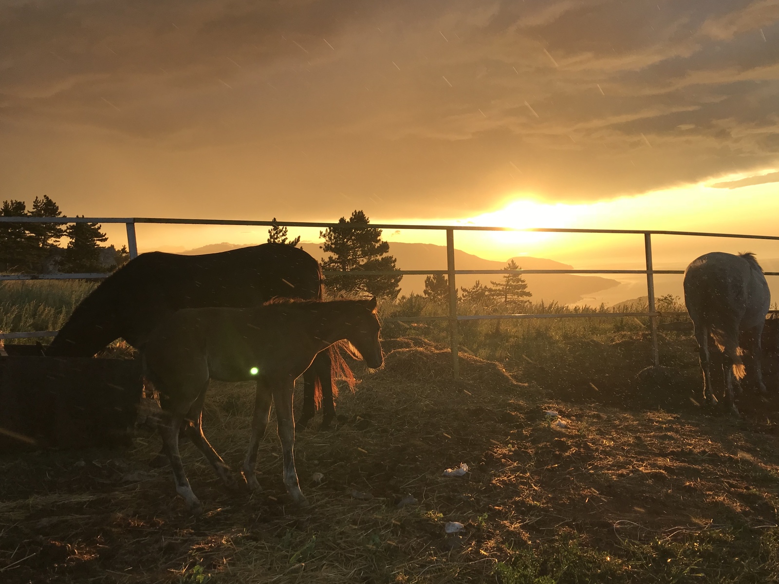 Ai-Petri. Crimea. Sunrise. - My, Beginning photographer, My, No filters, Sunrise, Crimea, I want criticism