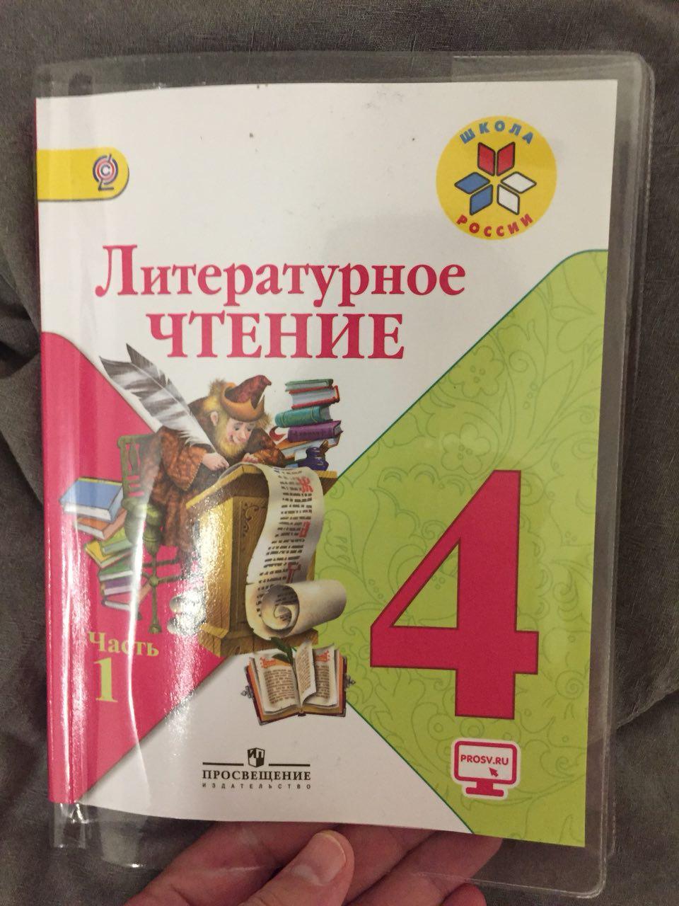 Вредительство? в современном образовании: Литература - Моё, Мракобесие, Длиннопост, Образование, Учебник