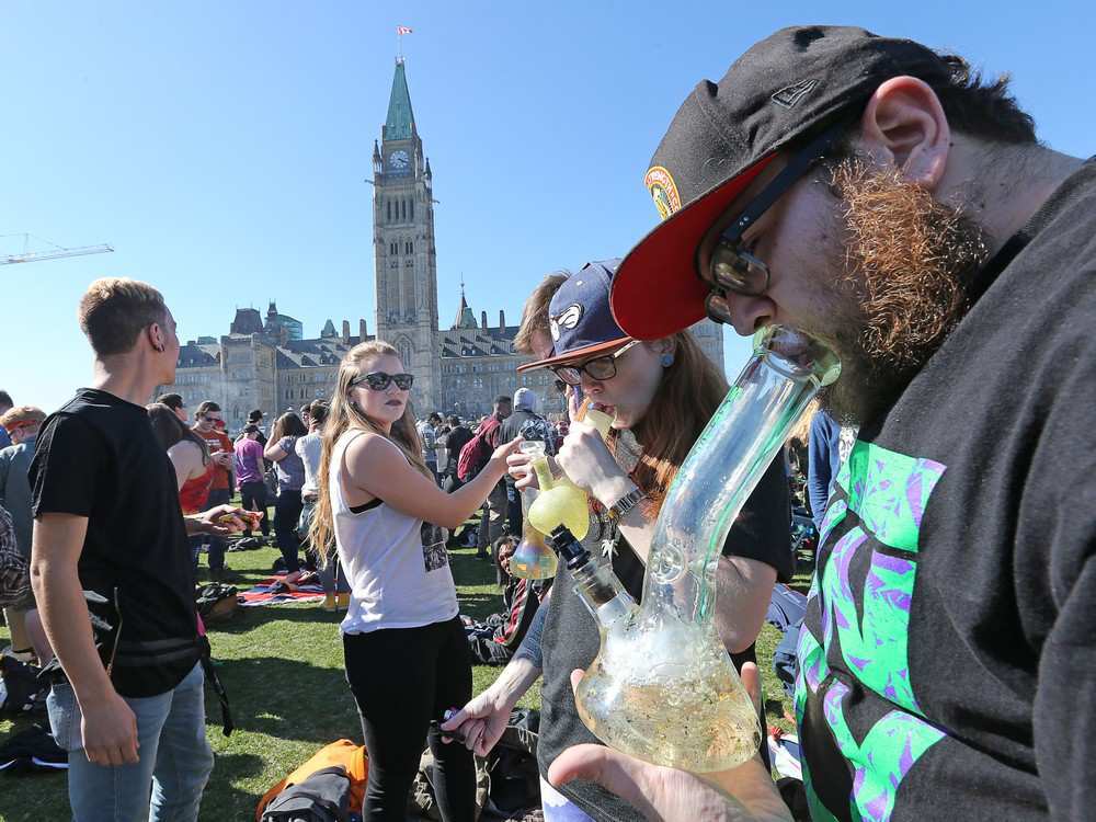 Cannabis vacancies open in Canada - Canada, , Longpost