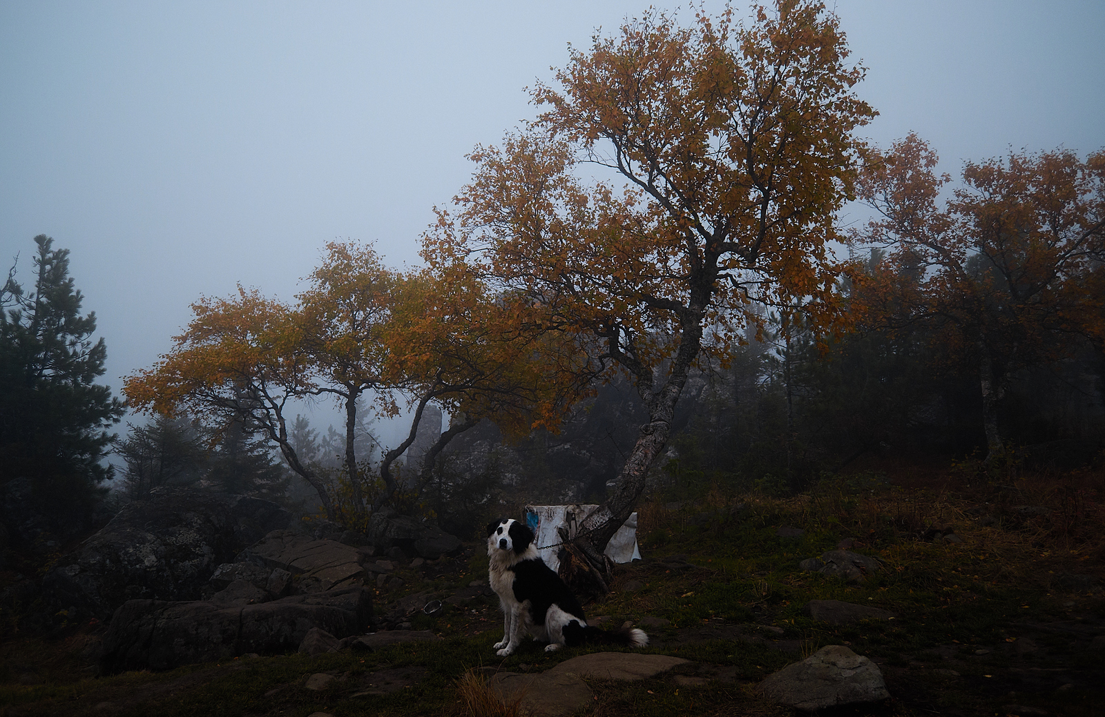 Autumn mood in the Urals. - My, The photo, Kachkanar, Temple, Buddhism, Landscape, Autumn, Sverdlovsk region, Ural mountains, Longpost