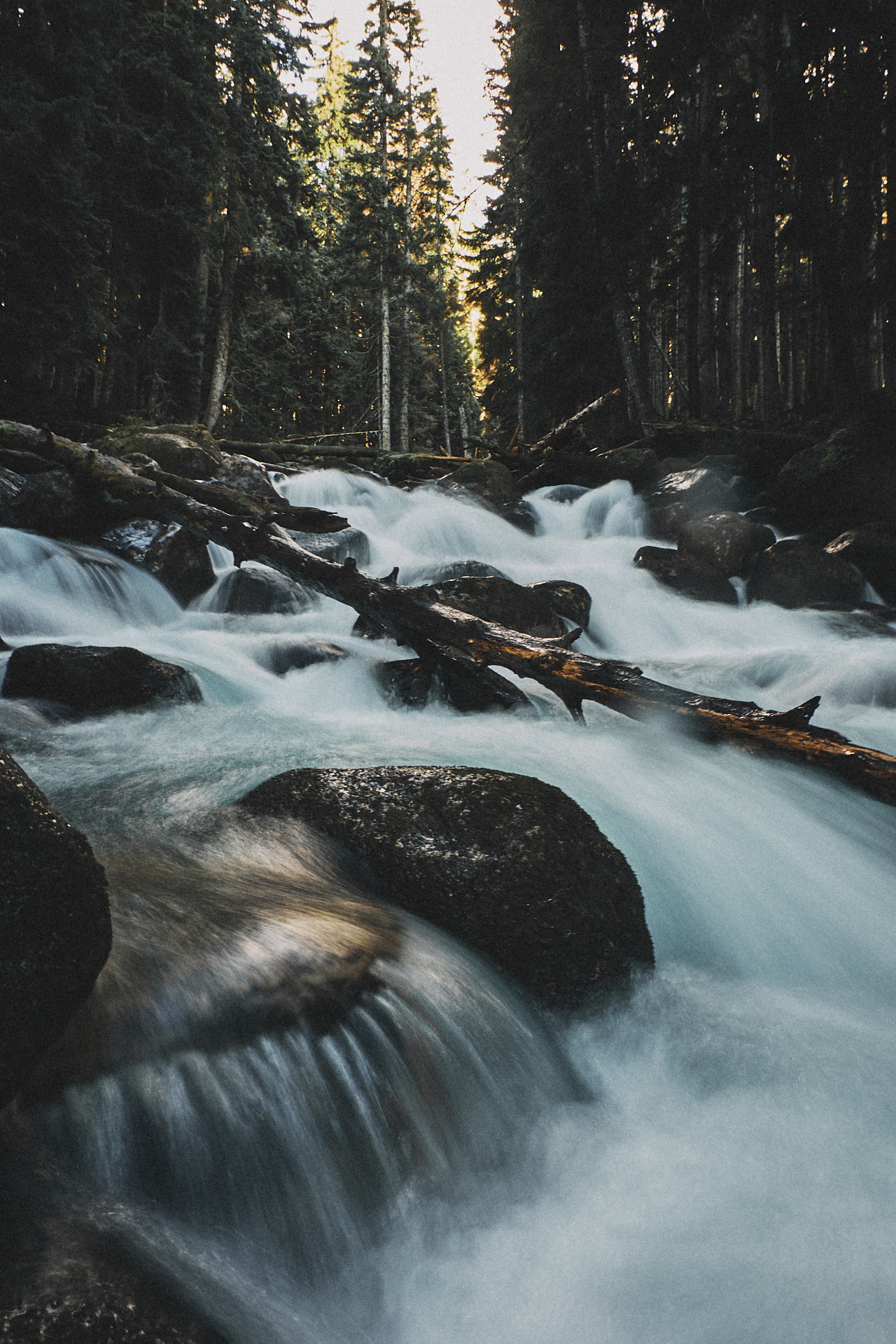 Trip to the Caucasus, part 1 - My, Caucasus, Travels, The photo, Dombay, Nature, Longpost