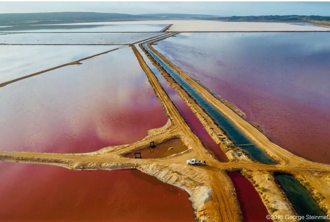 seaweed farm - Farm, Longpost, beauty, Symmetry