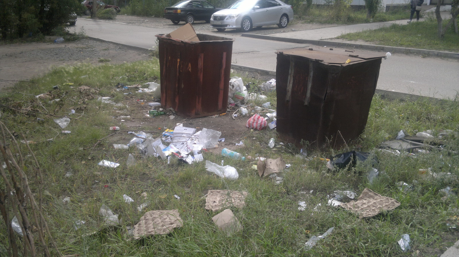 Different types of town - My, Kazakhstan, Pavlodar, cat, Trash can, , Vandalism, Longpost