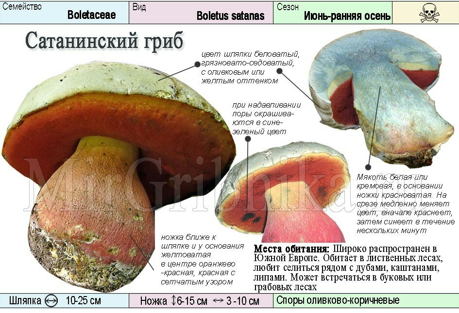 Свое родное. - Моё, Грибы, Детство, Безумие, Скорая помощь, Врачи