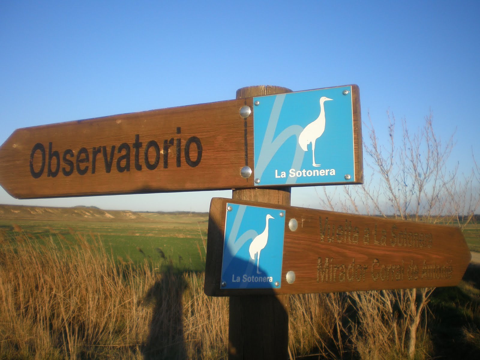 Spanish Outback: La Sotonera Reservoir and Migratory Cranes - My, Spain, Tourism, Cranes, Ornithology, Abroad, Living abroad, The photo, Longpost