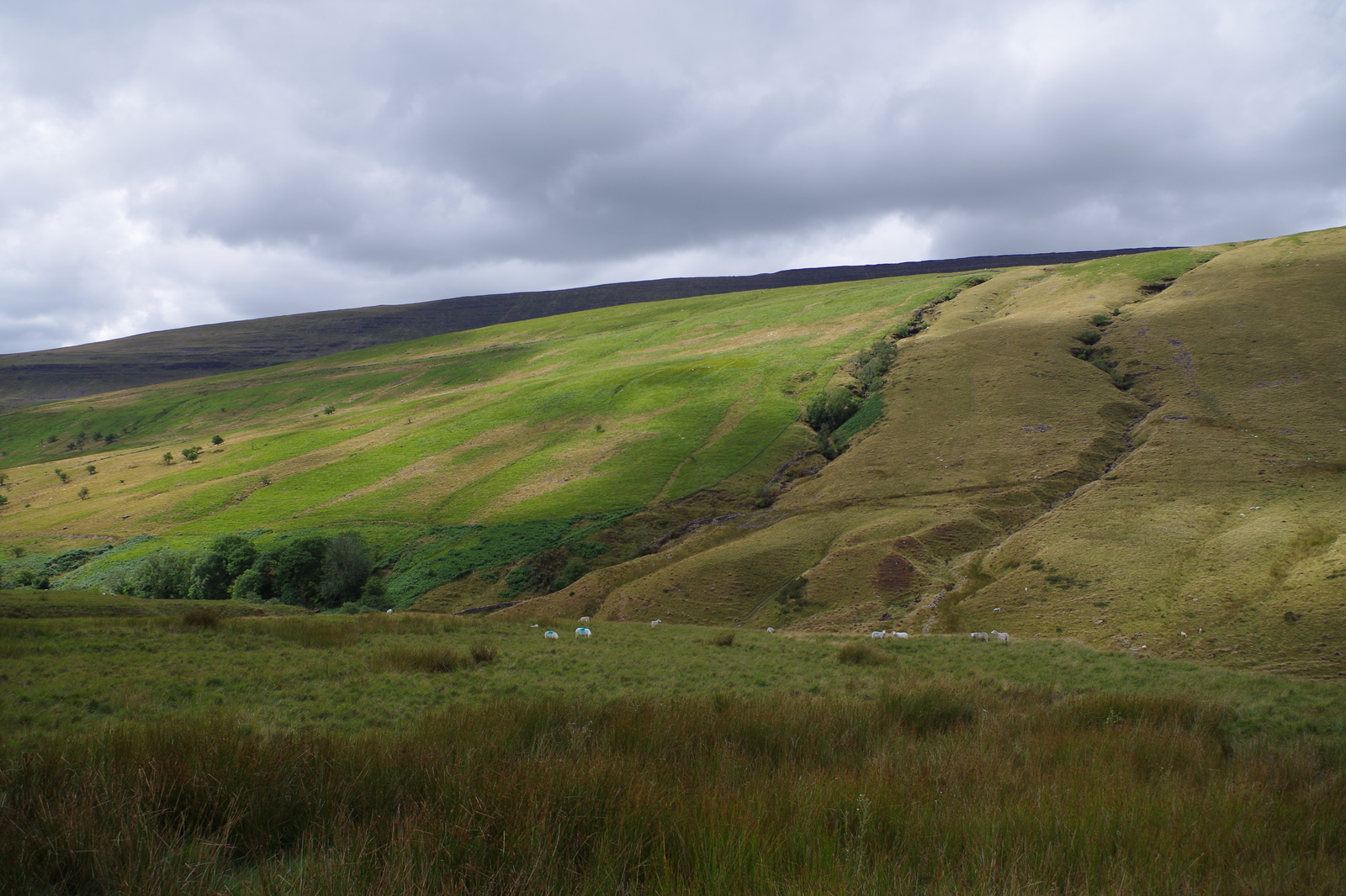 Travel to Wales. - My, , England, Wales, The photo, The mountains, , Longpost, Travels