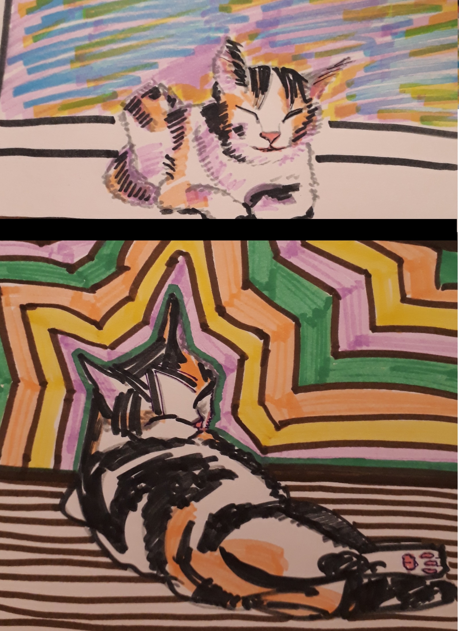 On the topic of cats - My, cat, Sketch, Tricolor cat, Marker, Drawing, Longpost, Thai cat