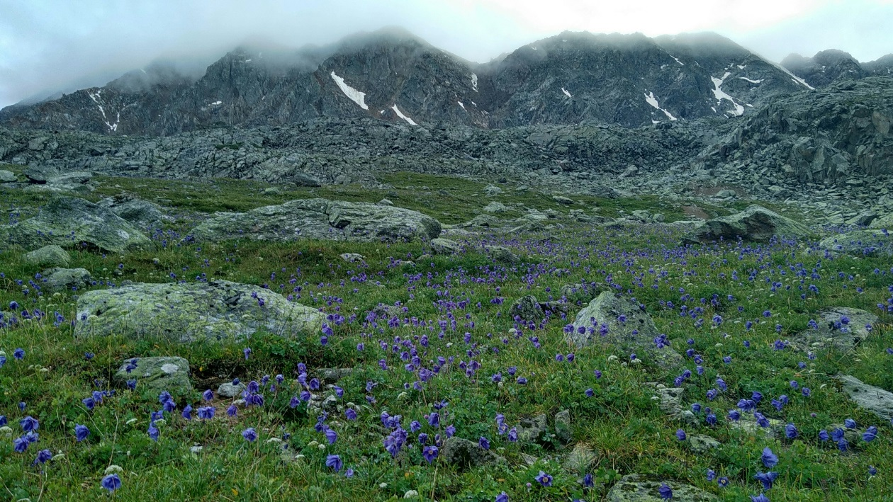 Journey through Altai. - My, Longpost, Altai, Hike, Beacon, Summer, The photo, Diary, Altai Republic