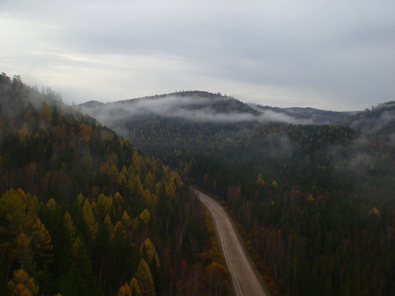 Paragliding or the golden colors of Krasnoyarsk. Part 2 - Moscow, Small aircraft, Flight, Travels, Autumn, Longpost, Nature, A life