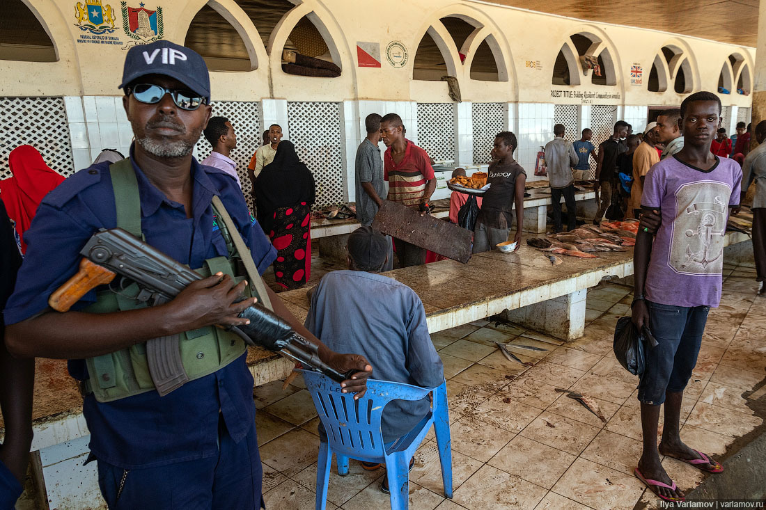 Fish market in Mogadishu - Somalia, Africa, Ilya Varlamov, Travels, Copy-paste, Longpost