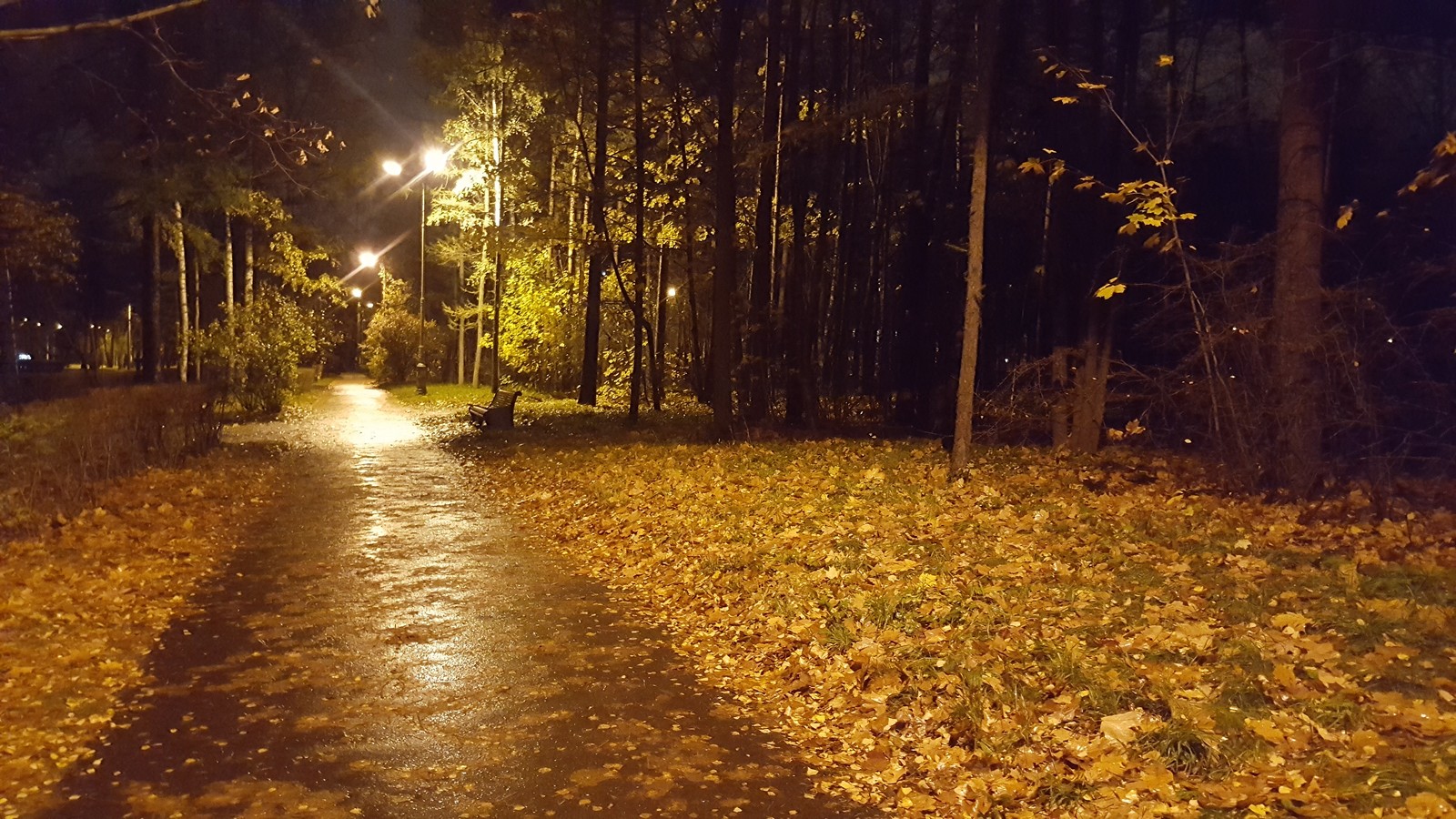 Autumn in St. Petersburg - My, The photo, Autumn