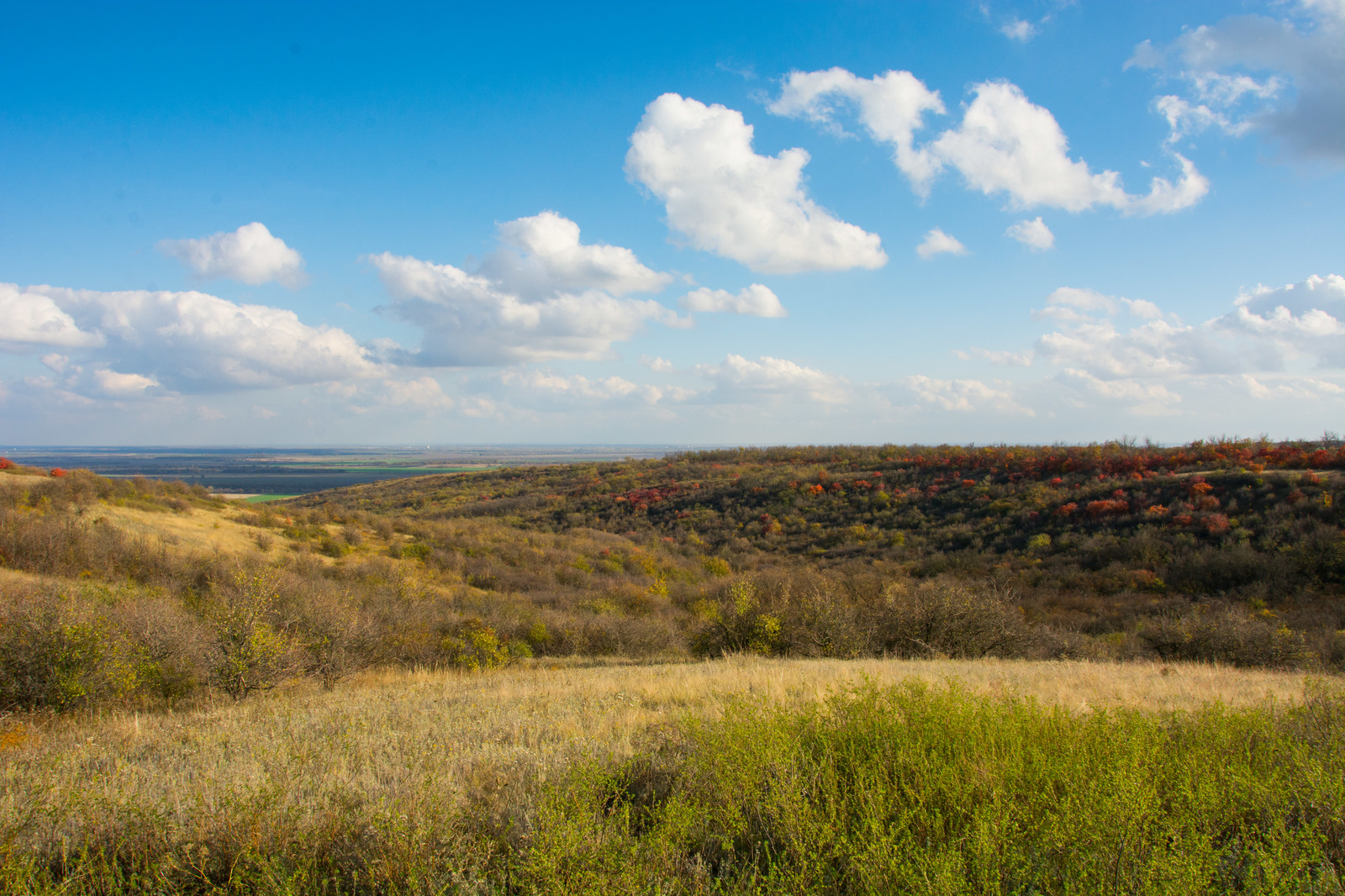 Autumn in the Rostov region. Lots of photos. - My, The nature of Russia, Rostov region, Post #10033265, Autumn, Longpost