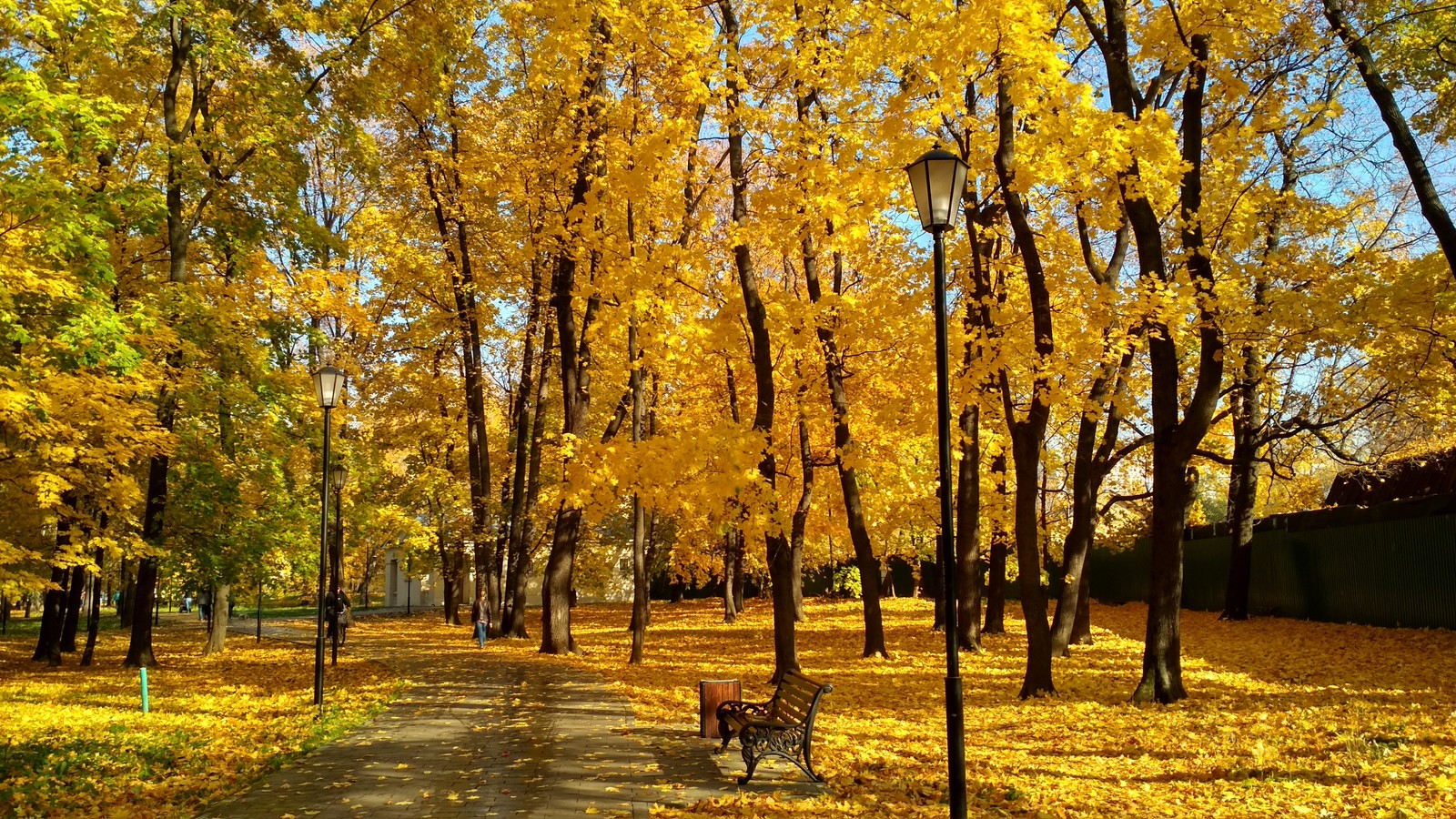 Фонари В Парках Фото